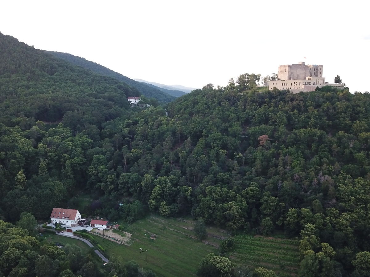 Ein kleines Paradies in Alleinlage zwischen Wein und Wald